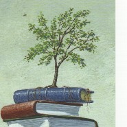 claudiaausgrone