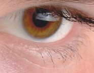 World_of_tears91