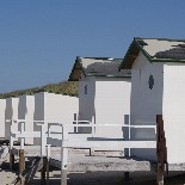 ArcaNoe