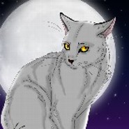 Black_Cat