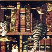 Buecherkatze