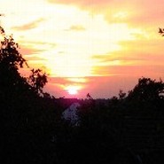 Buecherschlange