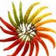 Chilischoten