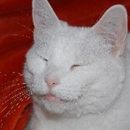 Miriamel