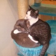 Sanlee
