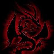 Shadowdragon