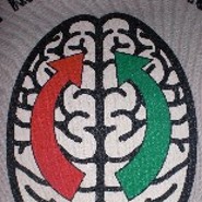Synapse11