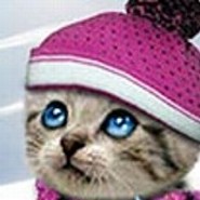Tweety81