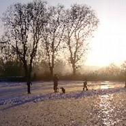 Winter_schnee_flocke