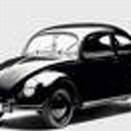 beetle