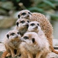 books4life