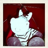 mathias_brose